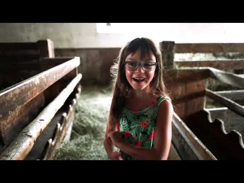 Kinderbauernhof Scharrerhof – Urlaub am Bauernhof in Hollersbach im Salzburger Land