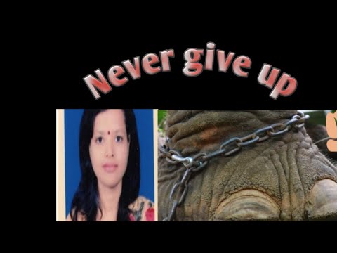 Never Give Up Motivational story # We Should Never Give Up in Life # Mindful story Channel
