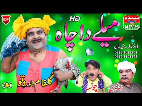 #FunnyVideo | New Funny Videos | Mele Da Chaa | Pendu News