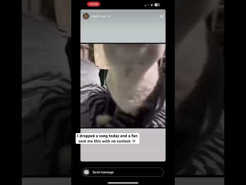 A fan sent me this with no context 💀😭Track ID: Jay Eskar, ILSE - Afterglow #edit #fyp #cat