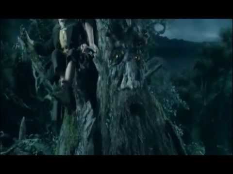 Treebeard Rages