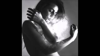 The New Division - Shine