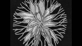 The Wipers - The Circle