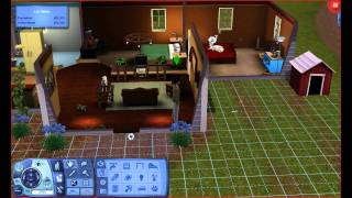 Let's Play: The Sims 3 Pets (Part 10) - The Litter Box of the Future