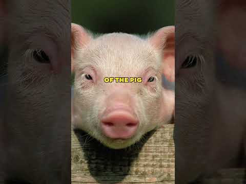 For people born in '65, '77, '89, '01, '13