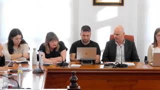 Pleno ordinario maio 2025
