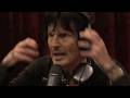 Joe Rogan Tommy Lee The Mind Blowing Truth About Quitting Smoking