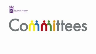 Committees in the Scottish Parliament