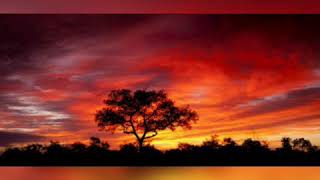 Download lagu Dj Bongz-Noma ungahamba mp3 Download lagu Dj Bongz-Noma ungahamba mp3