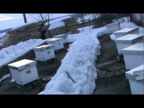 2. Ramele folosite la hranit, iernatul 3 in 1 si operatii de hranire la "Bio Stup - Ioan URSU" 2/2