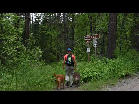 Stupid Mental Health Walk