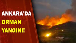 Ankara'da Orman Yangını! / A Haber | A Haber