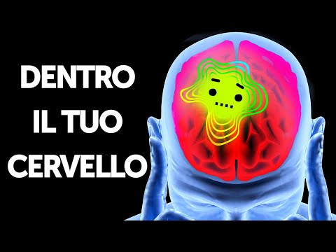 Viaggio All'Interno Del Nostro Cervello
