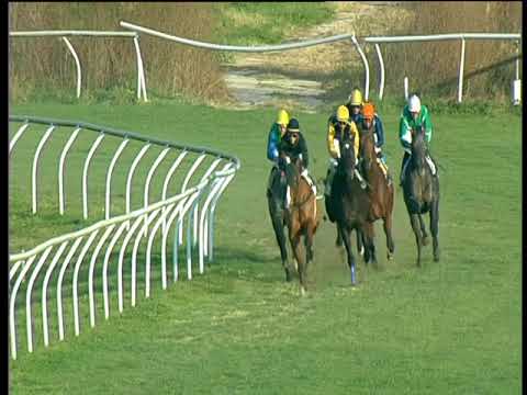 Galoppo 20/12/2017 - 3ª corsa