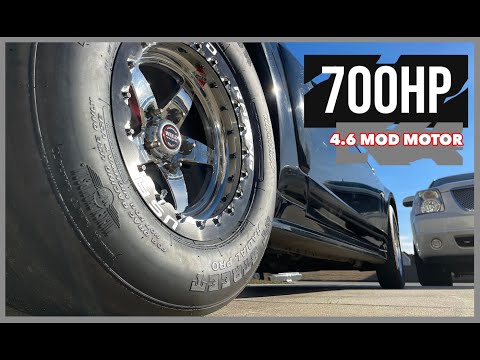 CLEAN Holley Terminator X Modular Motor Install Overview