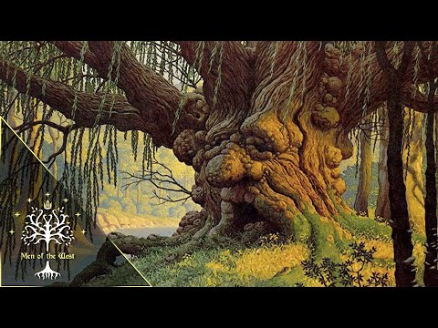 Complete Timeline of Old Forest, Home of Tom Bombadil - Region Spotlight