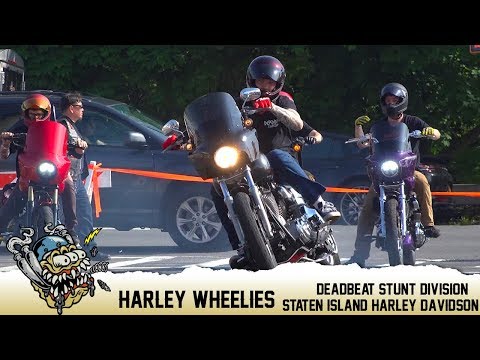 Harley Wheelies - Deadbeat Stunt Division @ Staten Island Harley Davidson