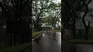 Download lagu satu satu, iwan fals mp3