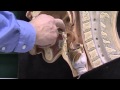 Anatomy 4 Mouth Nose Pharynx Swallowing