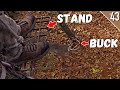 BIG BUCK At 3 YARDS LATE Rut Bowhunting On Public Land