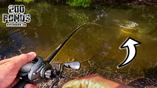 I Hooked Something BIG In This Pond...