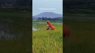 Download lagu story wa. lagu rakuat aku mp3