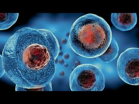 Diabeti, shpiken qelizat e modifikuar që prodhojnë insulinë