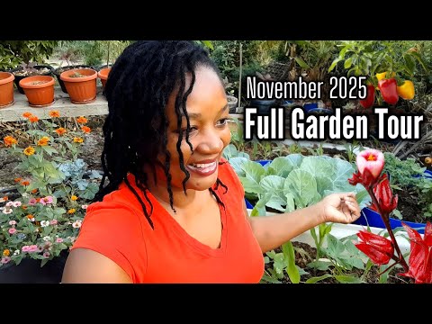 November 2025 Permaculture Garden Tour & Seed Saving