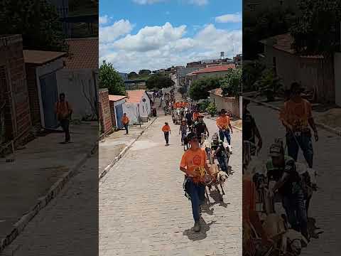 Carreata carros de boi Guajeru-BA