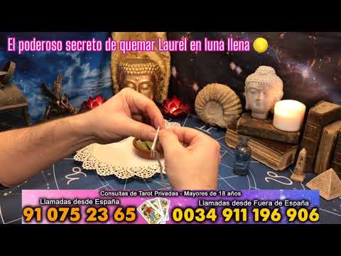 THE POWERFUL SECRET of BURNING BAY on a FULL MOON 🍃🔥It's Incredible What Happens 😲Try It and You'...