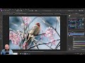 5 easy ways to get professional looking photos - Affinity Photo Tutorial