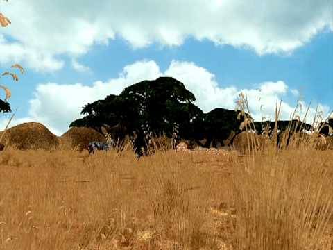 Announcement Trailer