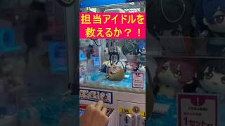 【シャニマス】担当アイドルちびぬいを救うプロデューサーの激闘①