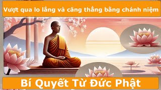 Lời Phật Dạy về Cuộc Sống An Nhiên - Thực Tập Chánh Niệm Giảm Rối Loạn Lo Âu, Căng Thẳng