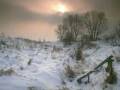 Elvis Presley - Who am I - 