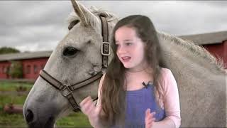Etrog or Horse?! - A Children's Story for Sukkot with Talia Lavi (הרב יוני לביא) - התמונה מוצגת ישירות מתוך אתר האינטרנט יוטיוב. זכויות היוצרים בתמונה שייכות ליוצרה. קישור קרדיט למקור התוכן נמצא בתוך דף הסרטון