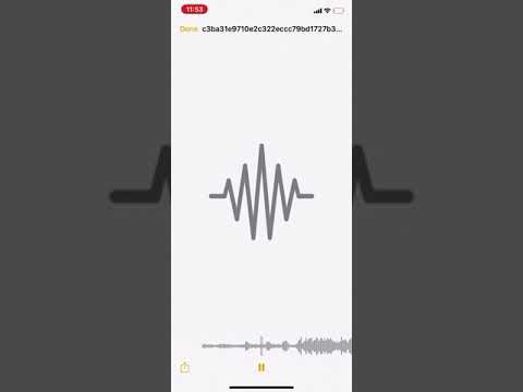 PNV Jay x Chris Elite ( unreleased )