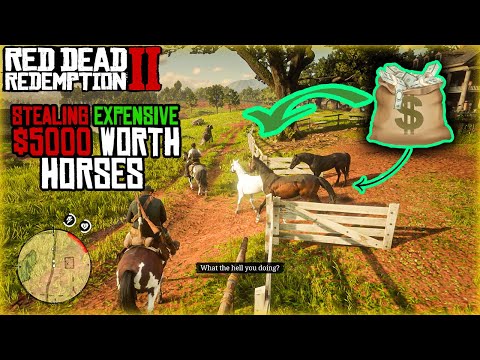 How to Steal $5000 Worth Horses | Horse Flesh For Dinner | Red Dead Redemption 2