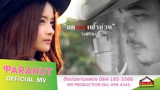 มดแดงเฝ้าม่วง – วงพัทลุง