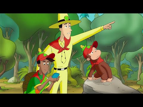 Using A GPS to Navigate the Forest 🌳🧭 | Curious George Compilation | Adventure & Play