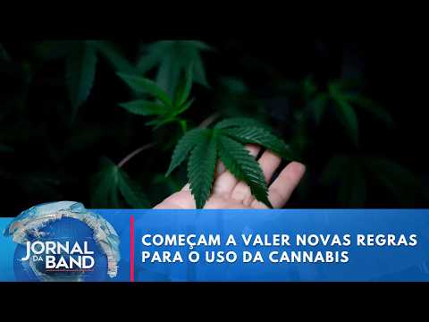 Cannabis: mudanças vão ampliar acesso a medicamentos | Jornal da Band
