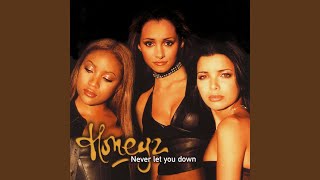 Never Let You Down (Honky Mix)