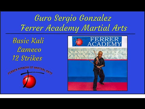 Basic Lameco 12 Kali Strikes