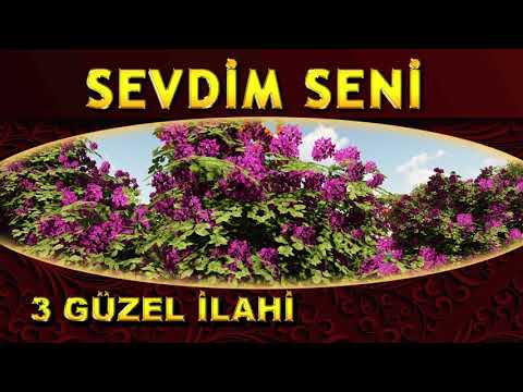 3 Güzel Defli İlahi - Gel Mevlayı Diyelim / İslam İçin Çalışanlar / Seyreyledim Muhammedi