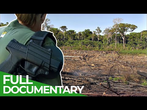 Saving Amazonia : Raids in the Rainforest