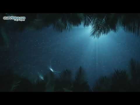 53. Surja El Nexhm - Ylli