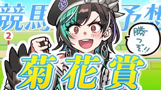 輪堂千速 - 【競馬/菊花賞】スタミナ勝負！！！3000m！【#輪堂千速 / #hololivedev_is  #FLOWGLOW 】