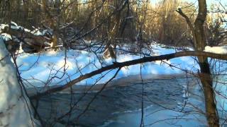 preview picture of video 'Milwaukee River In Winter'