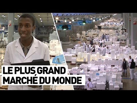 LE PLUS GRAND MARCHÉ DU MONDE (Rungis)