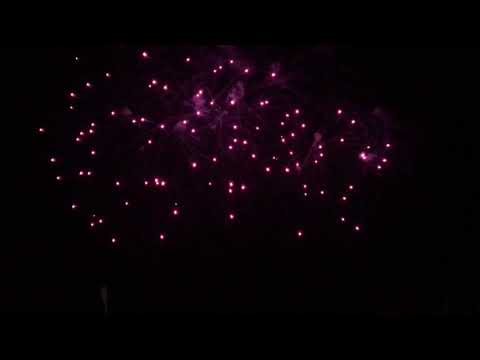 SCW912 - 30s 30mm Purple Peony 'W' Shape